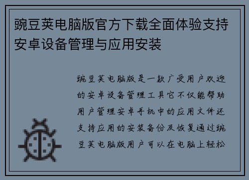 豌豆荚电脑版官方下载全面体验支持安卓设备管理与应用安装